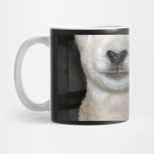 Baa Snout 1 Mug